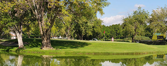 El Cristo Golf & Country Club – México Golf Card